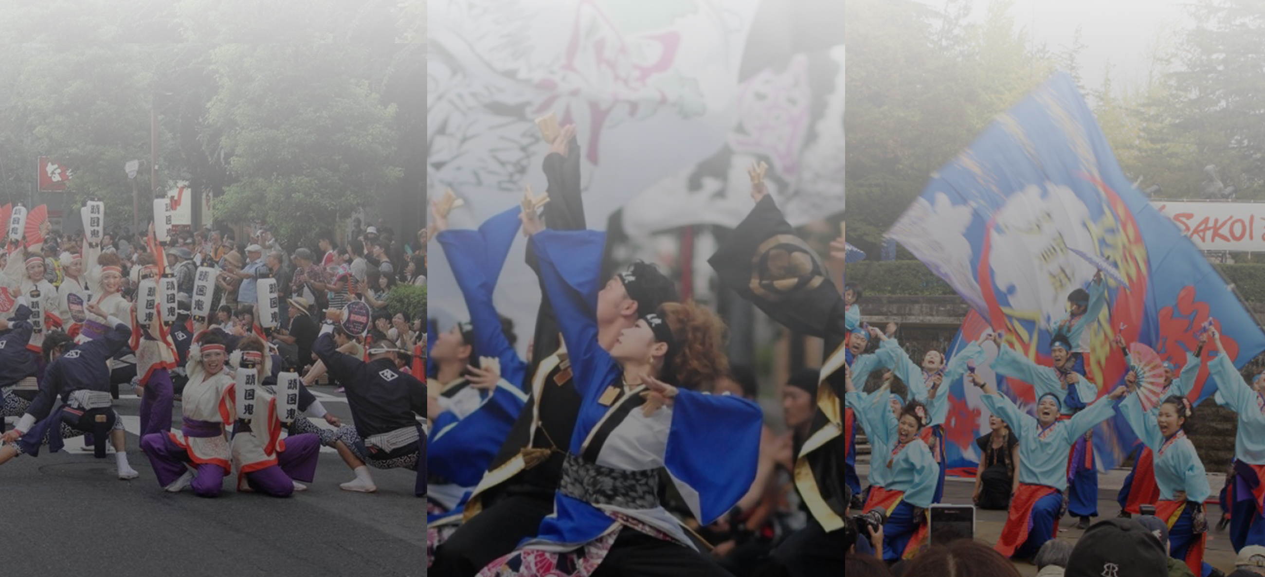 Header Banner Image